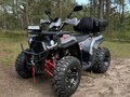 2024 Другие Мотовездеходы (другие), серый, 252000 рублей - вид 1
