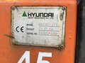 2004 Hyundai HDF45, 1250000 рублей - вид 2