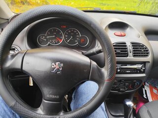 2007 Peugeot 206, серый, 250000 рублей, вид 5