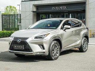 2020 Lexus NX 200 I Рестайлинг, серый, 2260000 рублей, вид 3