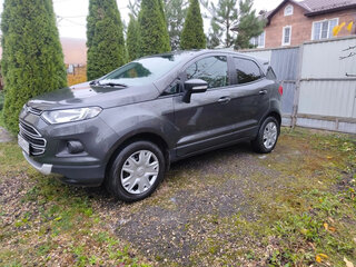 2018 Ford EcoSport II, серый, 1300000 рублей, вид 1
