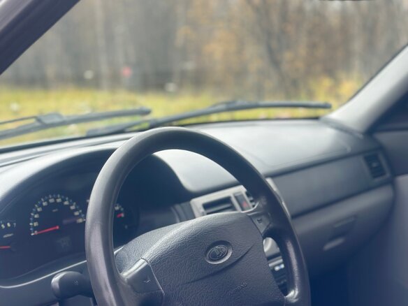 2009 Lada (ВАЗ) Priora I, серебристый, 230000 рублей - вид 14