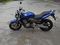 2003 Honda CB 600F Hornet, синий, 350000 рублей - вид 4