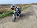 2010 Honda Shadow 750, серый, 525000 рублей - вид 9