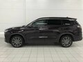 2022 Chery Tiggo 8 Pro Max I, фиолетовый - вид 8