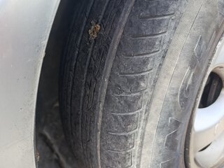 2005 Kia Carnival I Рестайлинг, серебристый, 300000 рублей, вид 5
