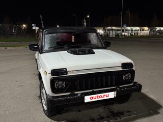 1996 Lada (ВАЗ) 2121 (4x4) I Рестайлинг, серый, 300000 рублей, вид 1