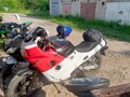 1988 Honda CBF 1000, белый, 215000 рублей - вид 2