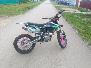2024 Motoland XR300, зелёный, 130000 рублей, вид 5