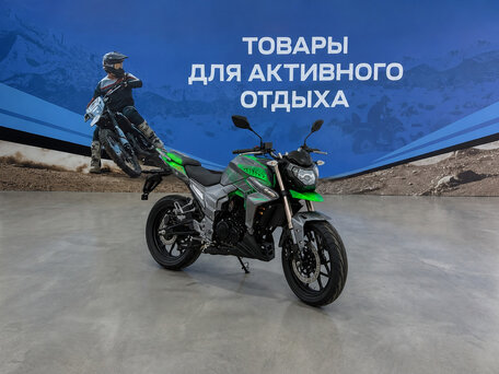 2026 Regulmoto T-Leopard 300, зелёный, 223700 рублей, вид 1