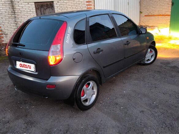 2008 Lada (ВАЗ) Kalina I, серый - вид 15