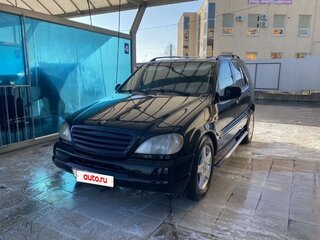 2001 Mercedes-Benz M-Класс 320 I (W163) Рестайлинг, чёрный, 800000 рублей, вид 1