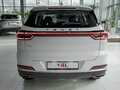 2026 Tenet T4L, белый - вид 5