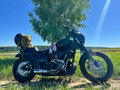 2021 Harley-Davidson Street Bob, серый - вид 11