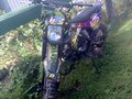 2026 Darex Alga 300, фиолетовый, 100000 рублей