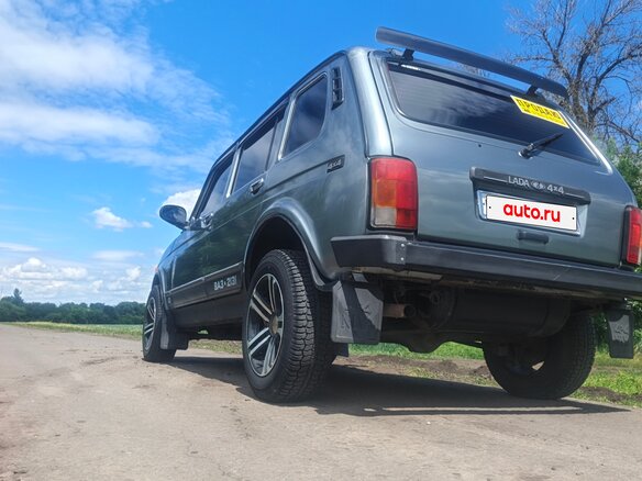 2011 Lada (ВАЗ) 2131 (4x4) I, серый, 497000 рублей - вид 6