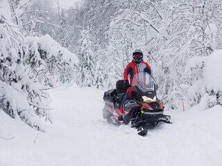 2025 AODES (Odes) Snowcross 1000, красный, 999000 рублей, вид 2