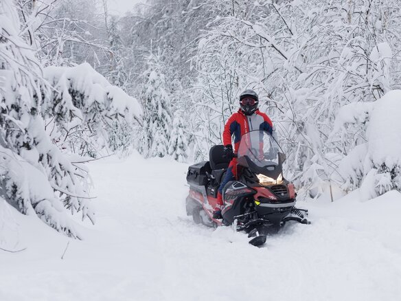 2025 AODES (Odes) Snowcross 1000, красный, 999000 рублей - вид 1