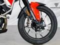 2024 Triumph Tiger 900, красный, 1377000 рублей - вид 10