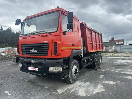 2021 МАЗ 6501, красный, 2150000 рублей, вид 1