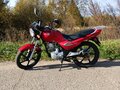 2012 Sym XS 125, красный - вид 1
