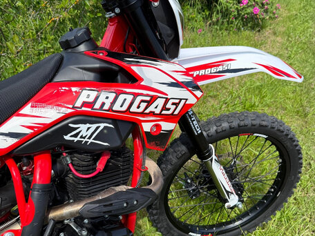 2025 Progasi Super Max 300, красный, 130000 рублей, вид 4