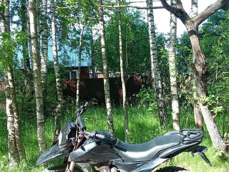 2023 Shineray Adventure 250, чёрный, 100000 рублей, вид 2