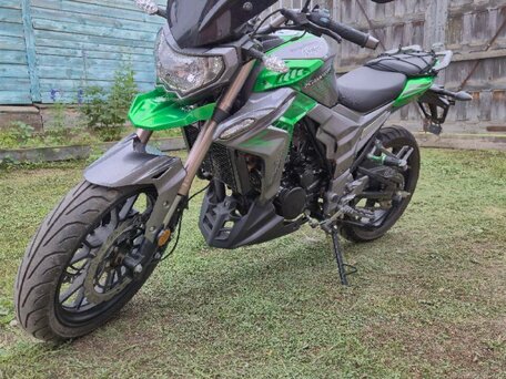 2020 Regulmoto T-Leopard 300, зелёный, 210000 рублей, вид 3