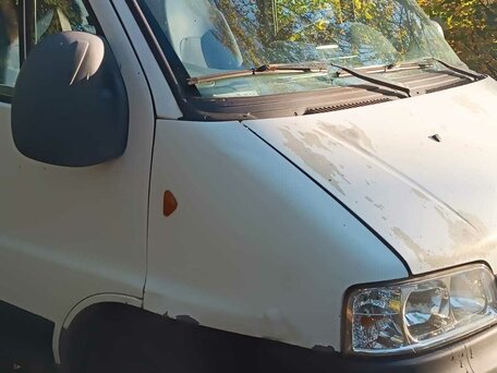 2010 Fiat Professional Ducato, белый, 790000 рублей, вид 5