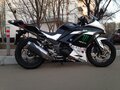 2013 Kawasaki Ninja 300, белый - вид 3
