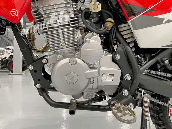 2025 JHL SX150, красный, 119990 рублей - вид 5