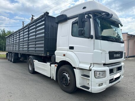 2014 КамАЗ 5490 NEO, белый, 4200000 рублей, вид 1