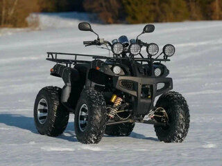 2025 Raptor MAX 300, чёрный, 295900 рублей, вид 1