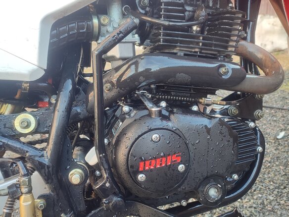 2014 Irbis TTR 250, красный, 125000 рублей - вид 8