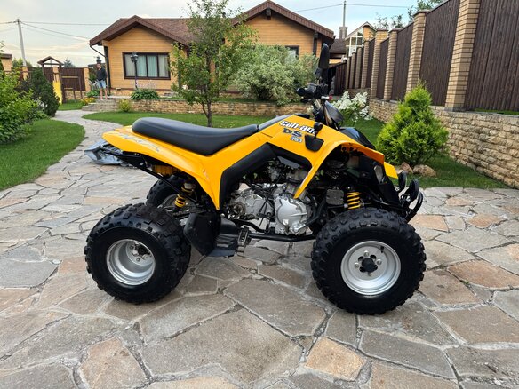 2008 BRP Can-Am DS 250, жёлтый, 329990 рублей - вид 6