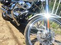 2005 Harley-Davidson Softail Custom, серебристый, 795000 рублей - вид 5