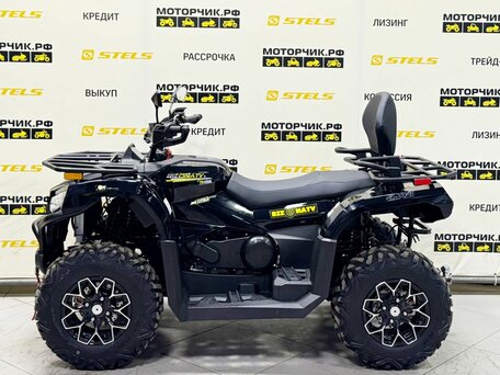 2026 Bizon YK450L EPS, чёрный, 639900 рублей, вид 2