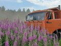 2008 КамАЗ 45143, оранжевый, 3500000 рублей - вид 10
