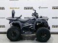 2025 Bison 250U, серый - вид 5