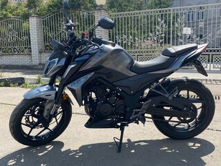 2023 Motoland DF Big Bore, серый, 180000 рублей, вид 2