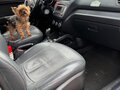 2016 Kia Rio III Рестайлинг, голубой, 1200000 рублей - вид 3