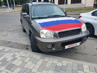 2001 Hyundai Santa Fe I, коричневый, 600000 рублей, вид 3