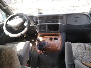 2000 SsangYong Istana I, зелёный, 255000 рублей, вид 5