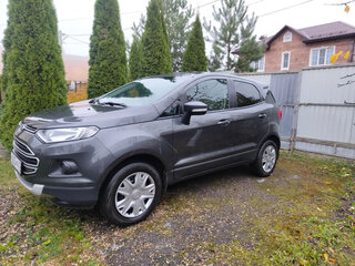 2018 Ford EcoSport II, серый, 1300000 рублей, вид 5