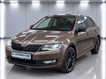 2017 Skoda Rapid I Рестайлинг, коричневый, 1390000 рублей