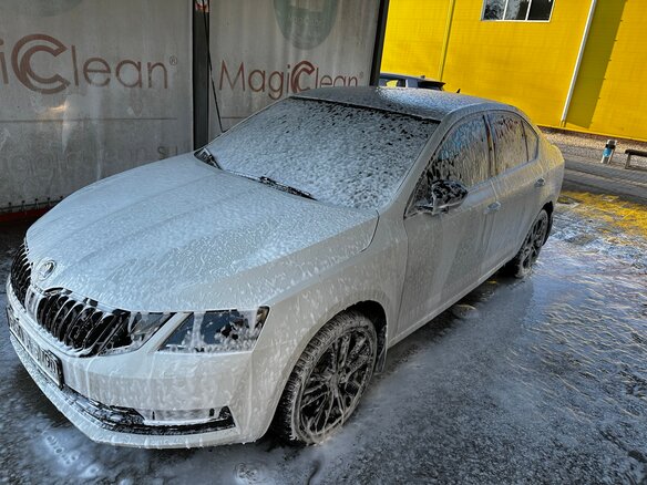2017 Skoda Octavia III (A7) Рестайлинг, белый, 1880000 рублей - вид 12