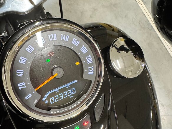 2021 Harley-Davidson Heritage, чёрный, 2400000 рублей - вид 8