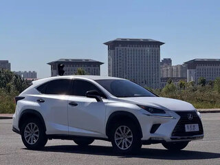 2021 Lexus NX 200 I Рестайлинг, белый, 3100500 рублей, вид 2
