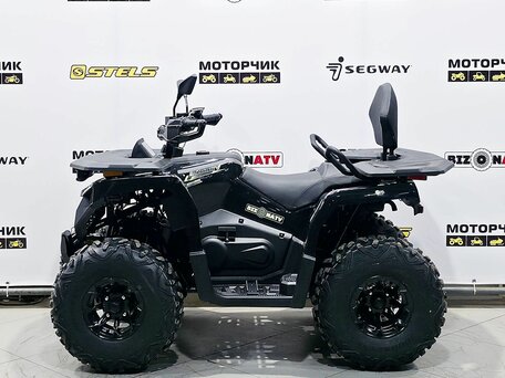 2026 Bizon YK250 LUX EFI, чёрный, 255000 рублей, вид 2