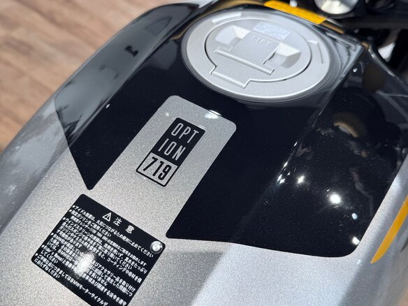 2024 BMW R 12, серебристый, 1999000 рублей - вид 21